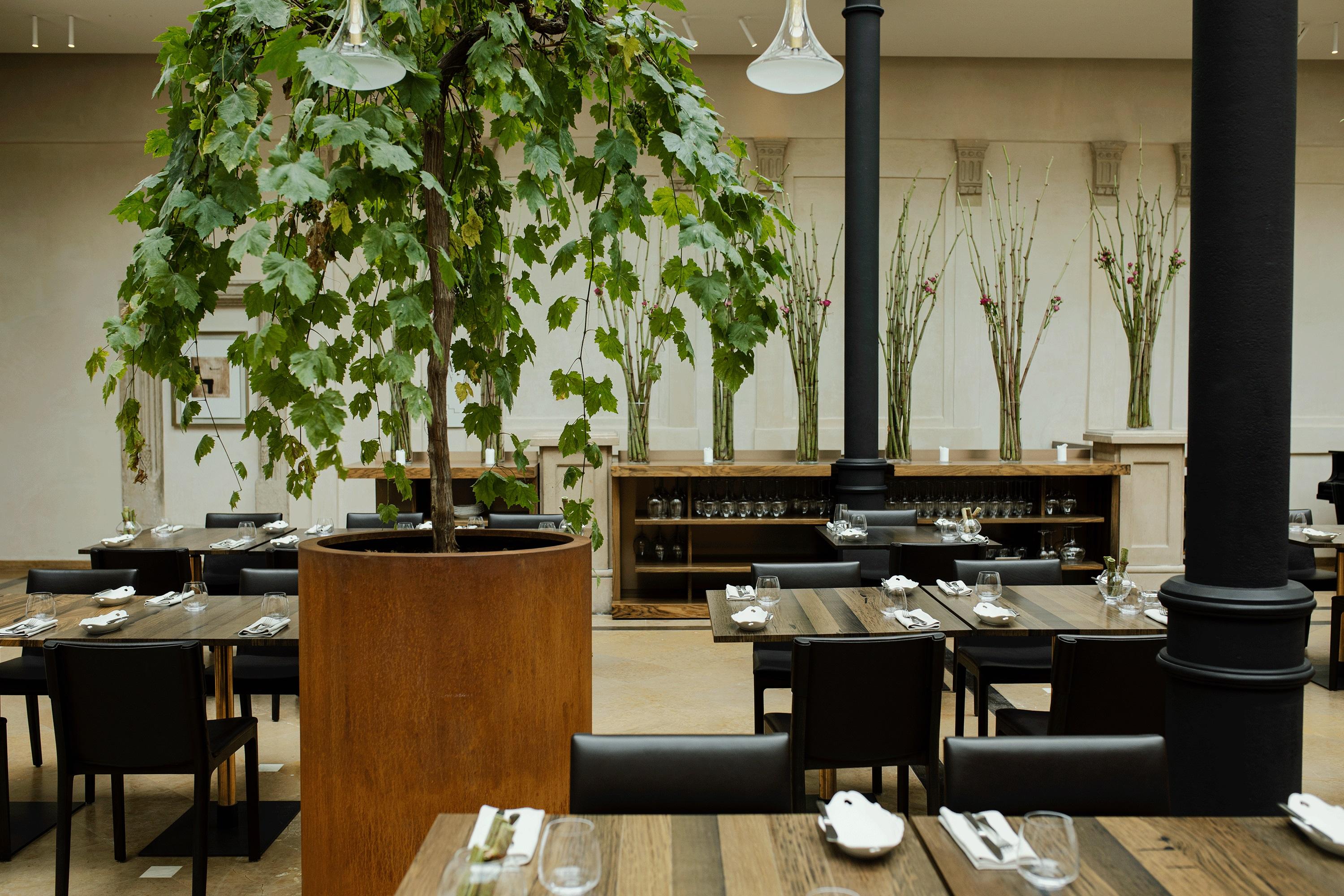Pod Roza 5* Krakau